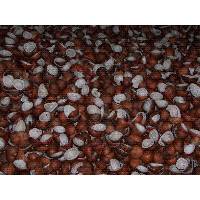 COCONUT COPRA ,