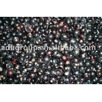  frozen   black   currant , IQF  black   currant 
