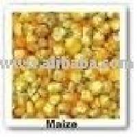 Grain & Cereals Wholesalers