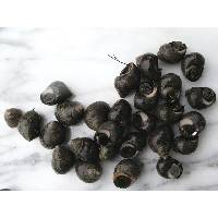 winkles