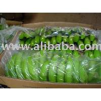 Cavendish Banana
