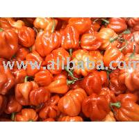Habanero