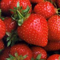 strawberry