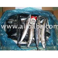 mackerel