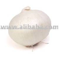 whit onion