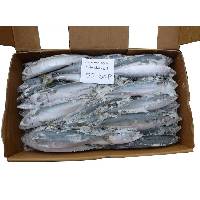 offer frozen Scomber japonicas 5-6P/kg  pacific mackere/ Japanese Mackerel