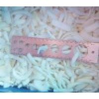 organic frozen(IQF) onion strip