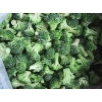 iqf Broccoli floret ( IQF broccoli floret/ Frozen broccoli floret )