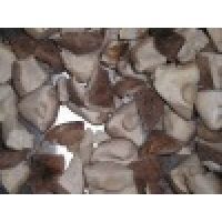 frozen champignon