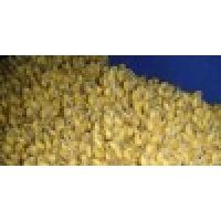 IQF   FROZEN   VEGETABLE S, SOYBEAN  SPROUT
