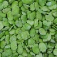 Frozen Broad Bean Meat