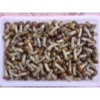 nameko in brine