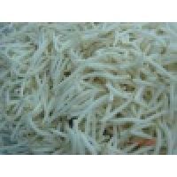 Bean Sprout