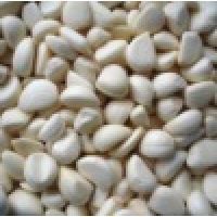 frozen  garlic