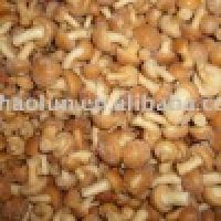 Instant Quick Frozen Mushroom