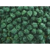 BQF spinach