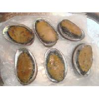  Canned  African  Abalone 