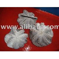 Frozen Seafood