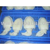 Sell Frozen Seafood From India
