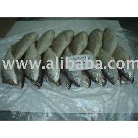 CROAKER WHOLE