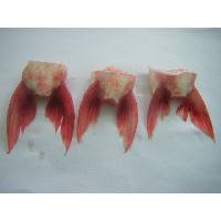 Pangasius Hypophthalmus Belly Fin