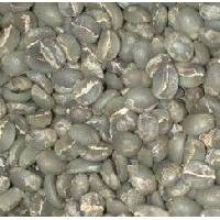 Green Arabica Coffee