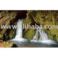 Gora Voda (bottled drinking water)