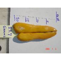 Frozen  Mullet   Roe 