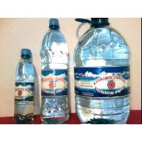  Bottled  Natural  Spring  Water