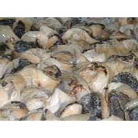  TOP   SHELL   MEAT 