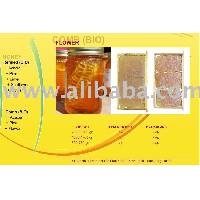 Good Quality Honey Comb (BIO)