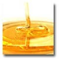 Honey in Bulk