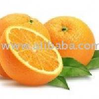  frozen   concentrate d  orange   juic e