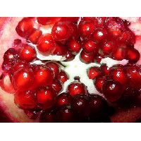 Pomegranate juice concentrate