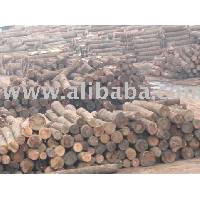 timber