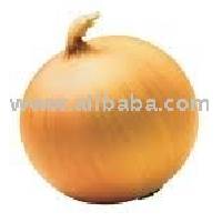 fresh onions