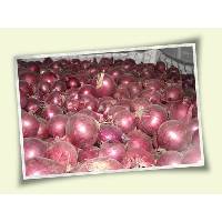 Red Onion