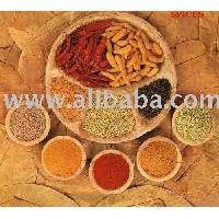 Spicy India