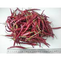  YUNNAN   CHILI 