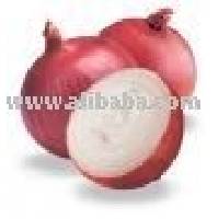 ONIONS
