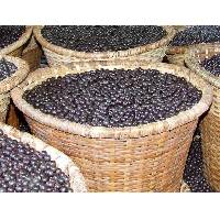 frozen organic acai pulp 12 % solid