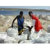  Raw   sea   salt   for sale