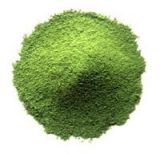 Organic Matcha Green Tea Powder (BAS10~16)