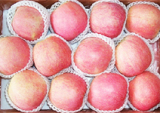Fuji Apple