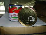 Canned Tomato Paste