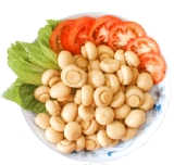 Canned Mushroom Whole