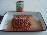 RED Kidney Beans