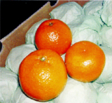 Mandarin Orange
