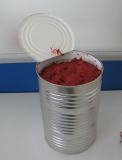 Tomato Lycopene