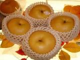 Fengshui Pear
